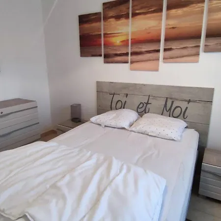 Maison Moderne Avec Jardin, Proche Du Centre Et Plages - 3 - Ile D'oleron - Fr-1-778-5 *