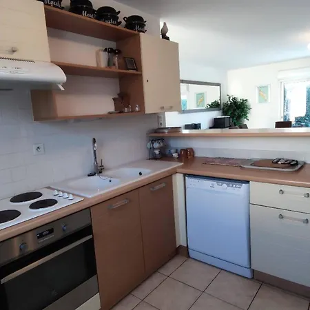 Maison Moderne Avec Jardin, Proche Du Centre Et Plages - 3 - Ile D'oleron - Fr-1-778-5 Dolus d'Oléron